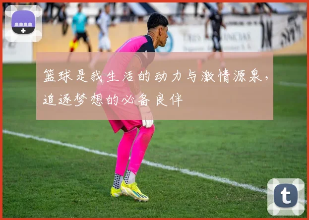 篮球是我生活的动力与激情源泉，追逐梦想的必备良伴