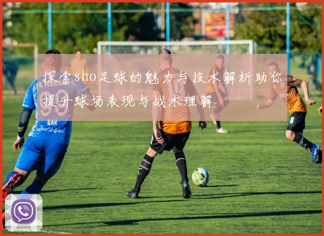 探索sho足球的魅力与技术解析助你提升球场表现与战术理解