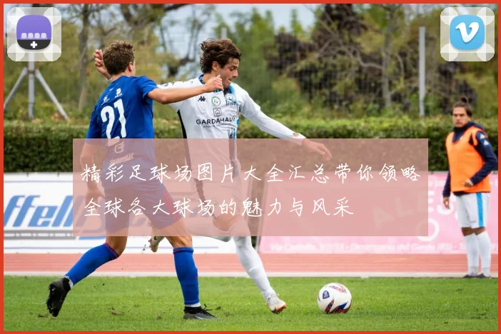 精彩足球场图片大全汇总带你领略全球各大球场的魅力与风采