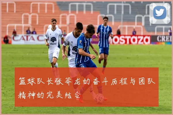 篮球队长张莽龙的奋斗历程与团队精神的完美结合