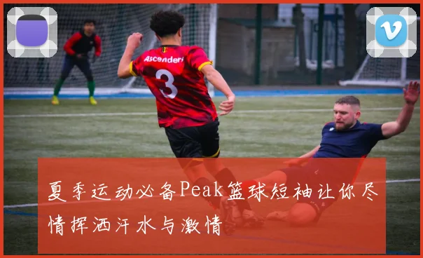 夏季运动必备Peak篮球短袖让你尽情挥洒汗水与激情